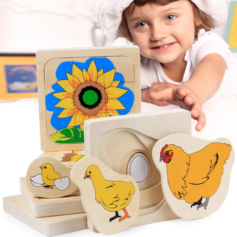 Montessori Wooden Development of Frog