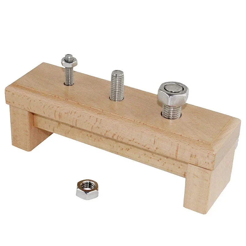 Montessori Wooden Nuts on a Base