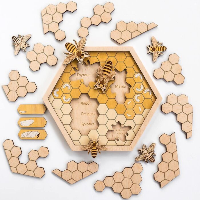 Honeycomb Puzzle