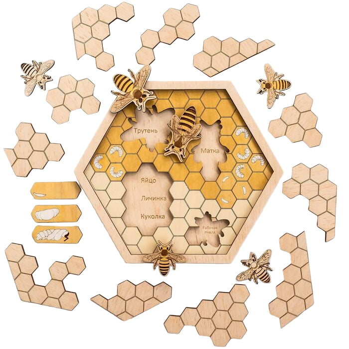 Honeycomb Puzzle ā Montessori Inspired