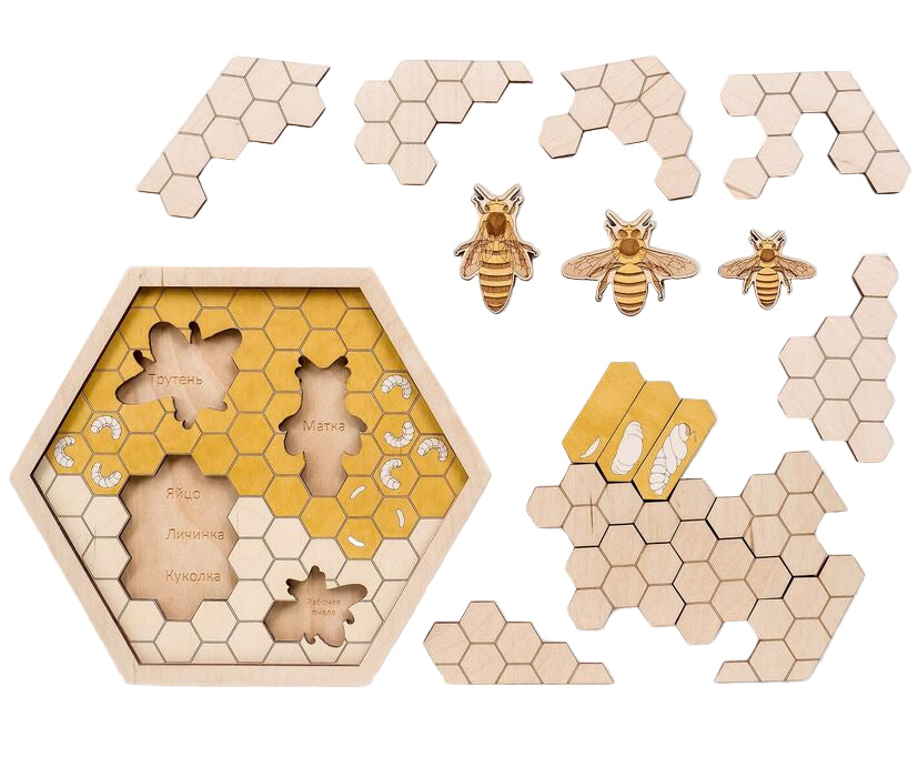 Honeycomb Puzzle ā Montessori Inspired