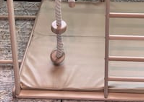 SCANDINAVIAN  GYMNASTIC