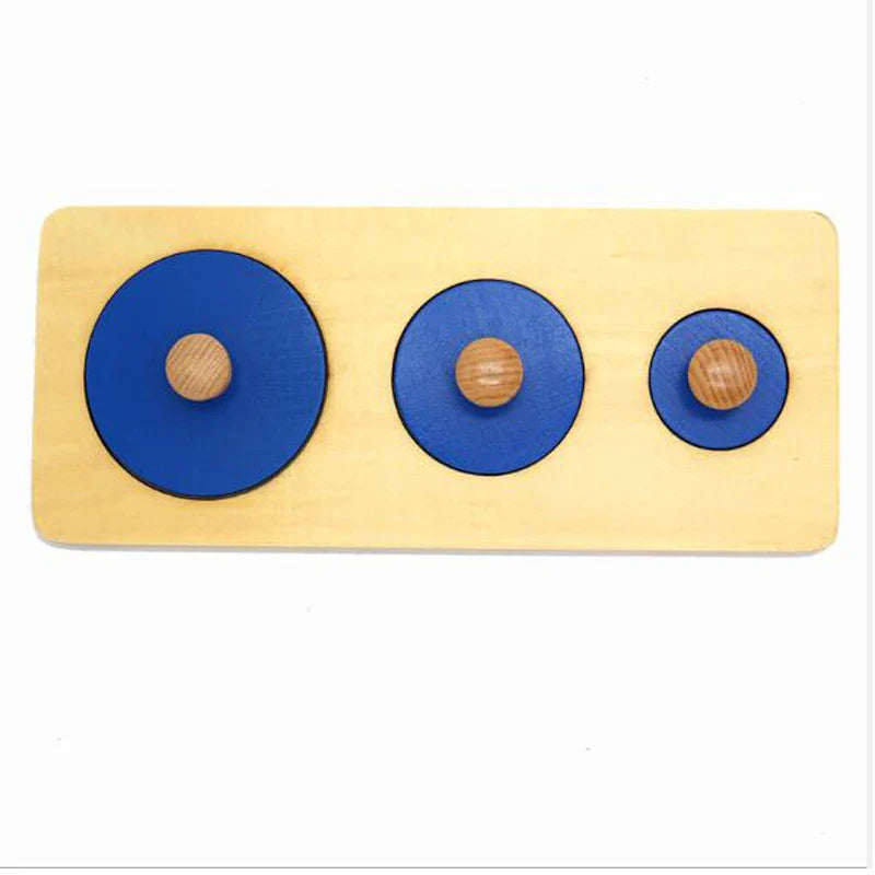 Montessori Wooden Shapes Sorting Puzzle