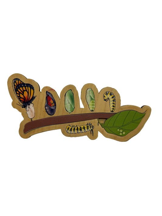 لعبة دورة حياة الفراشة الملكية 