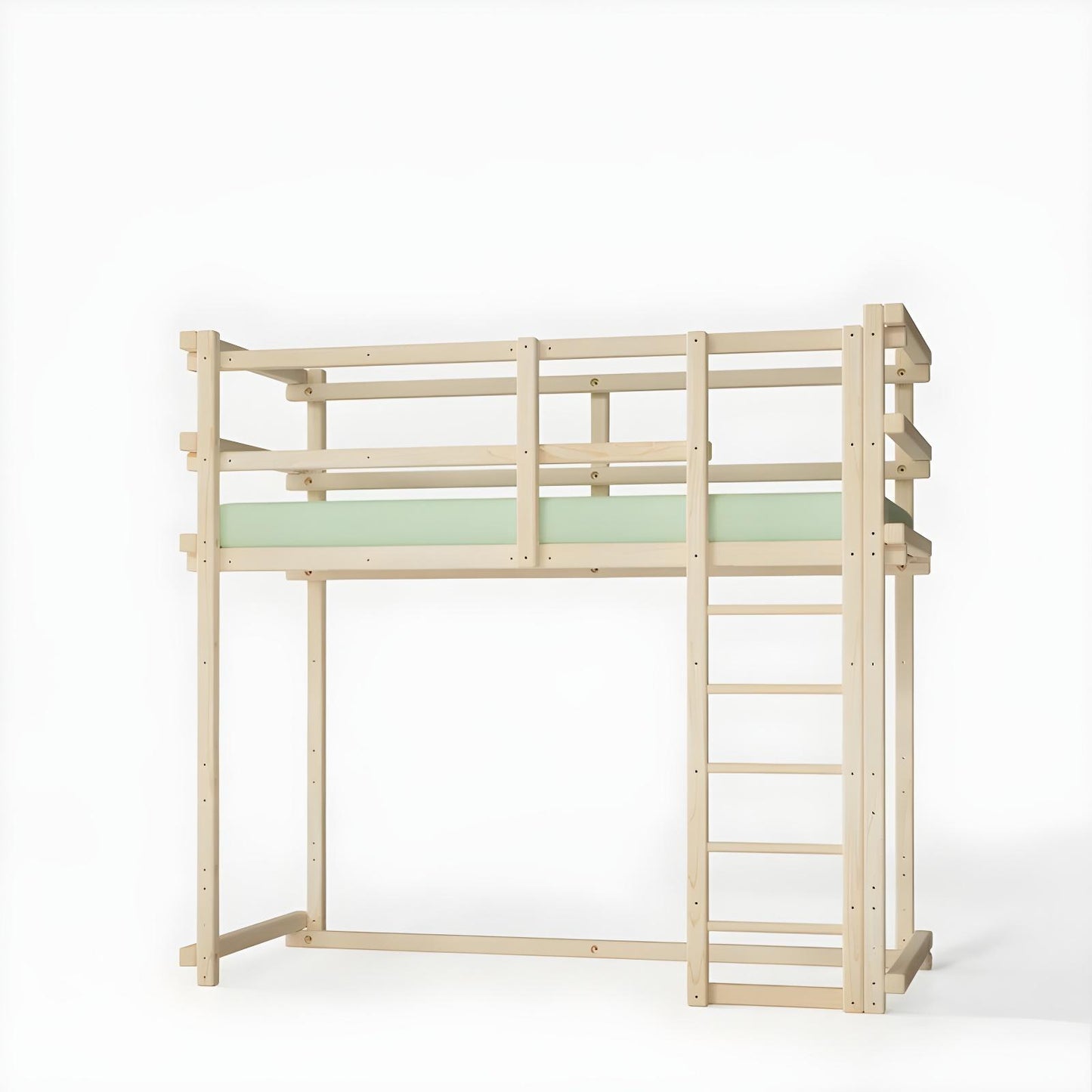 BED T1