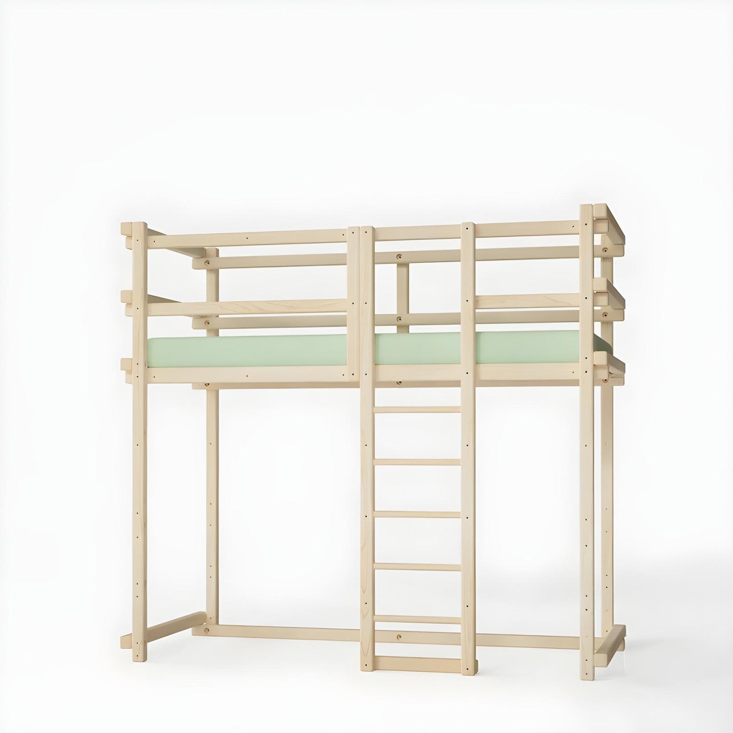 BED T1