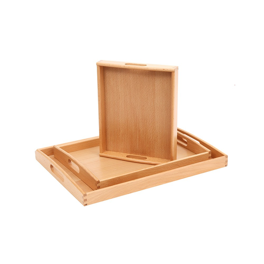 Montessori Activity trays