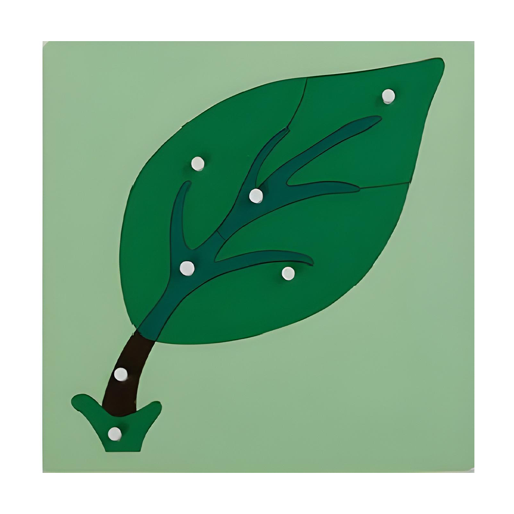 Plant puzzle