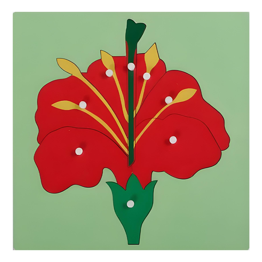 Plant puzzle