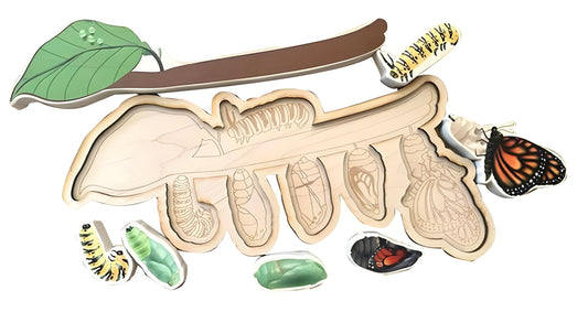 Monarch Butterfly Life Cycle Game